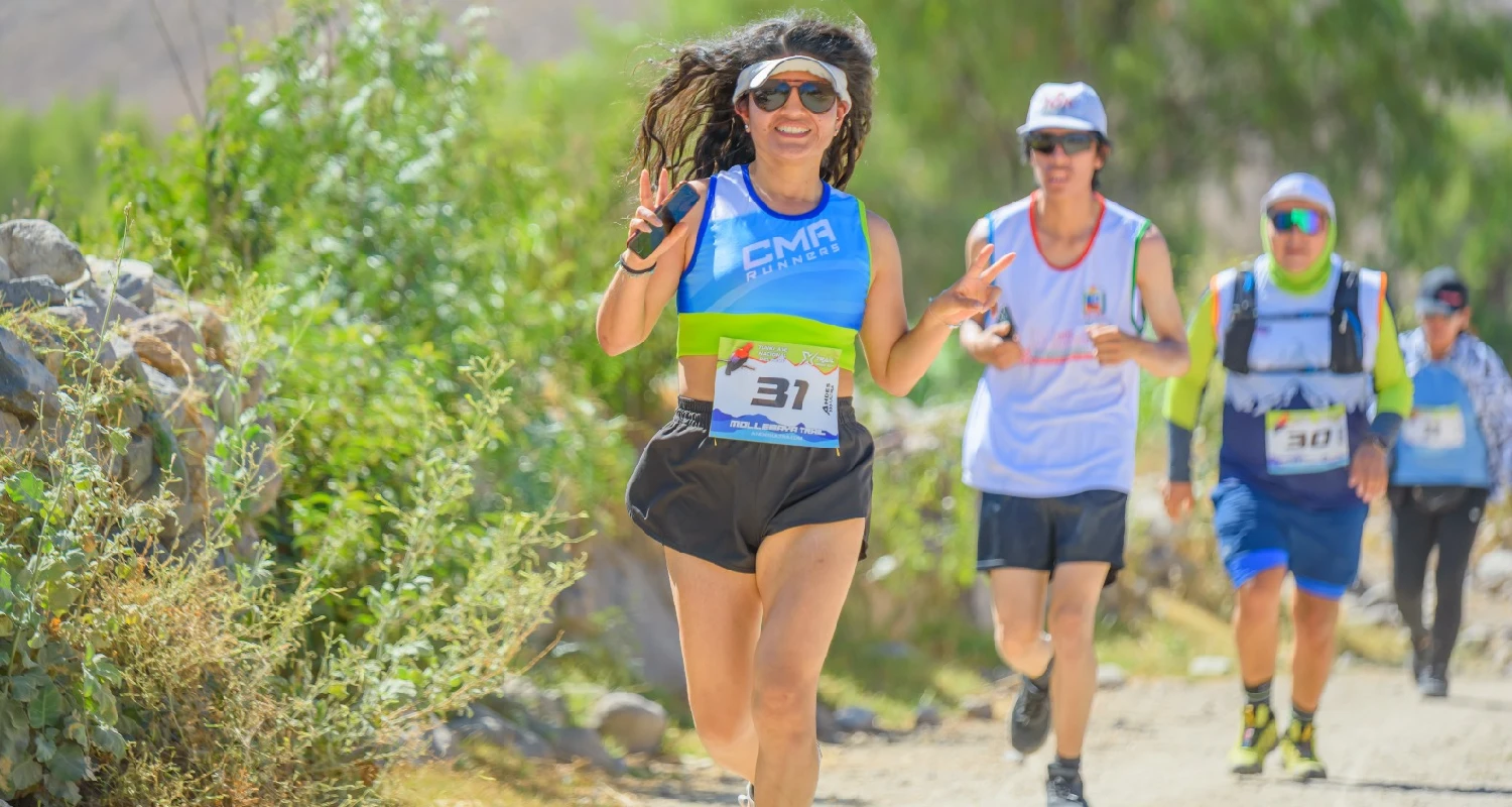 Vista panorámica de los Andes con corredor